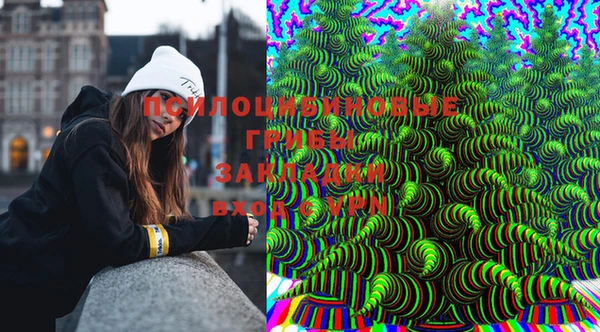 прущая мука Верея
