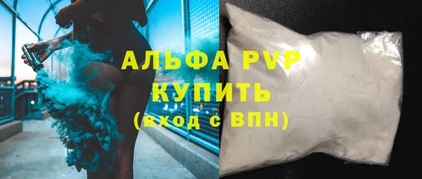 прущие грибы Бугульма
