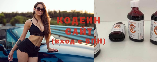 ешки Бородино