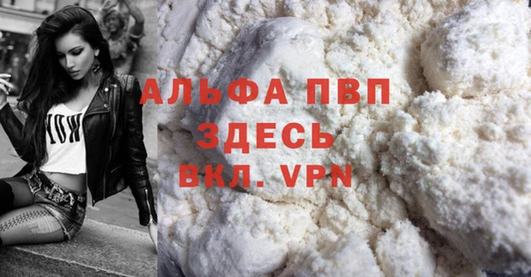 ешки Бородино