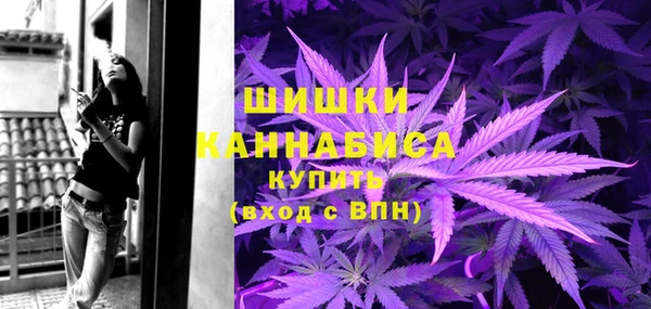 прущие грибы Бугульма