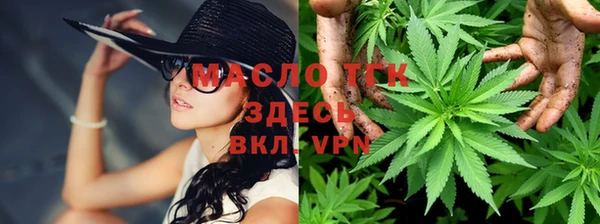прущие грибы Бугульма