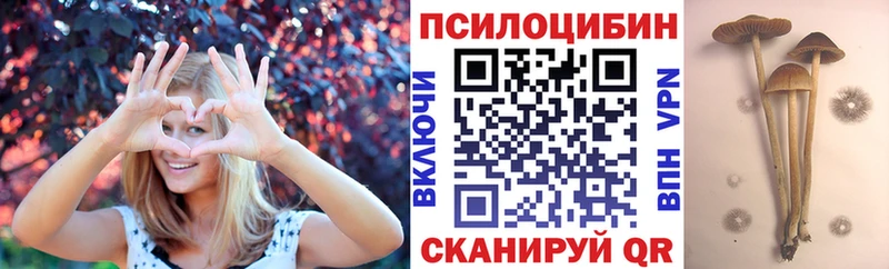 купить наркоту  Весьегонск  Псилоцибиновые грибы GOLDEN TEACHER 